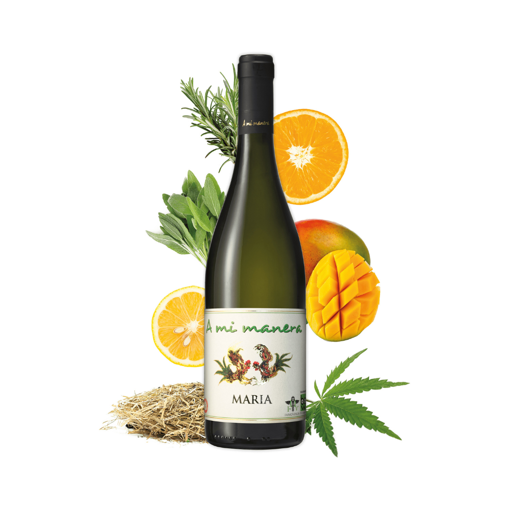 Malvasia Vino Bianco Aromatico A mi manera Veneto