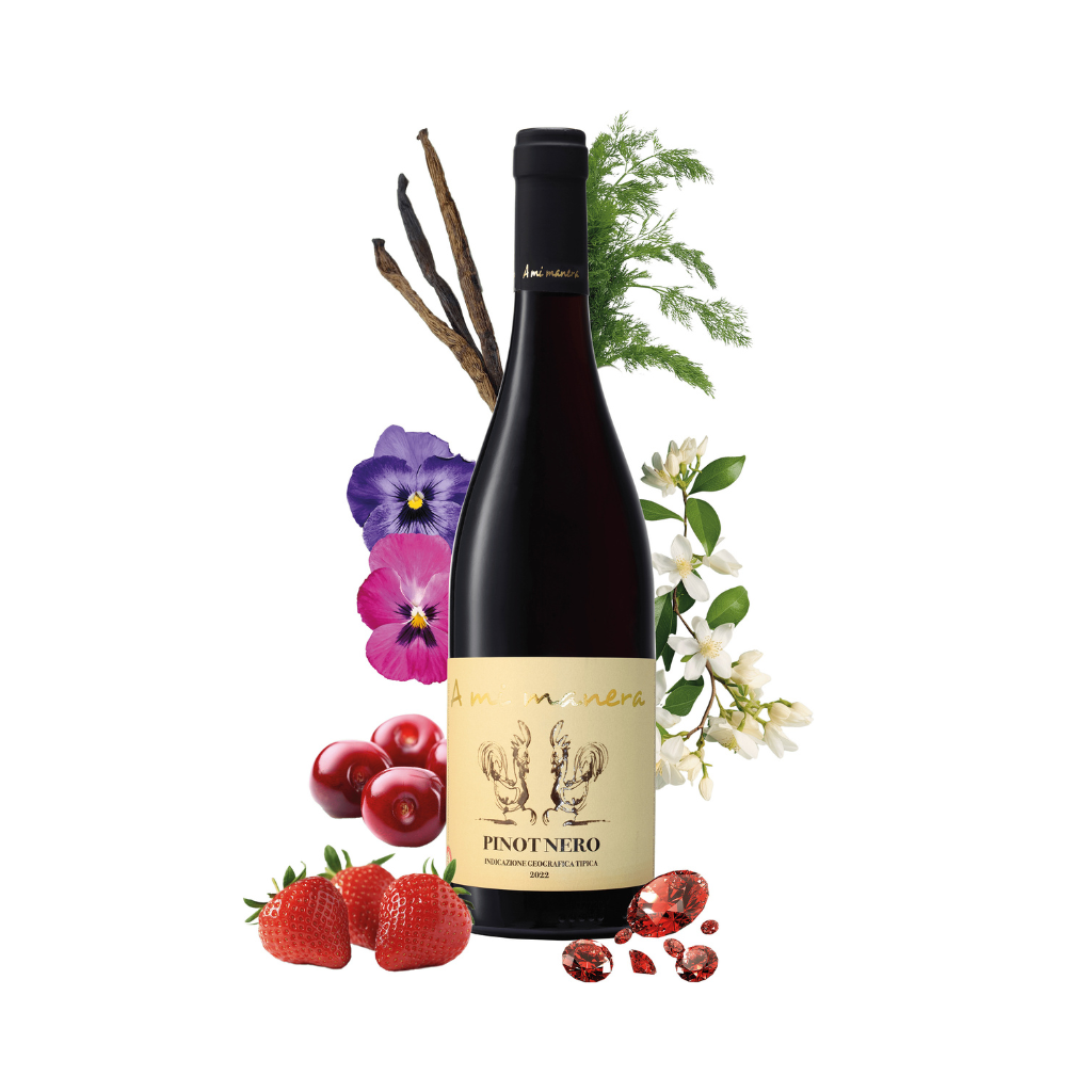 Pinot Nero IGT A mi manera Vino Rosso Veneto
