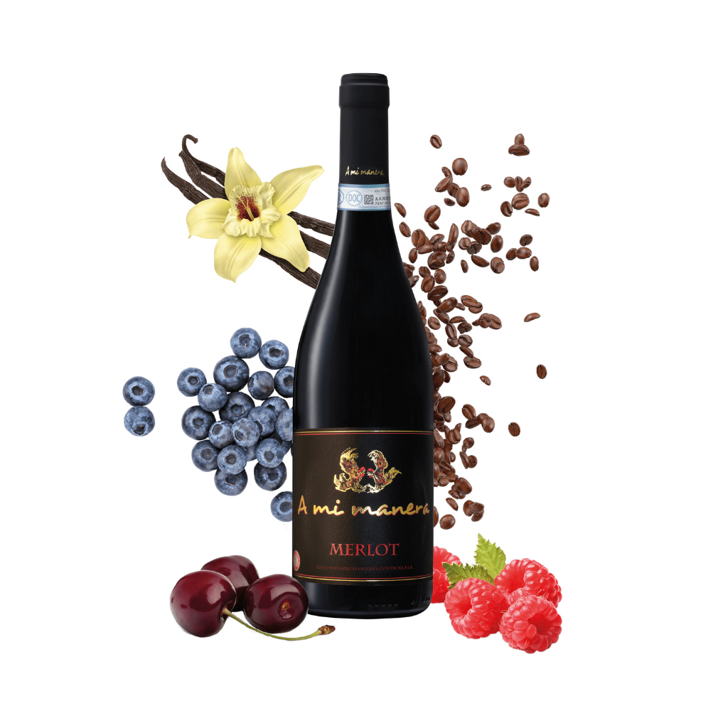 Merlot Vino Rosso A mi manera Veneto